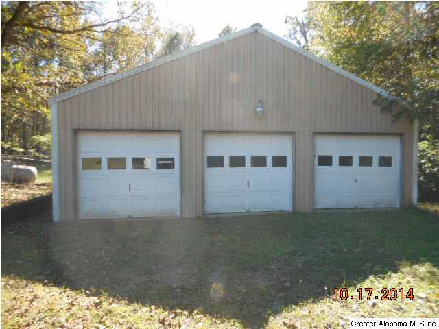 48579 Highway 231 Oneonta, AL 35121 - Photo 3 of 10