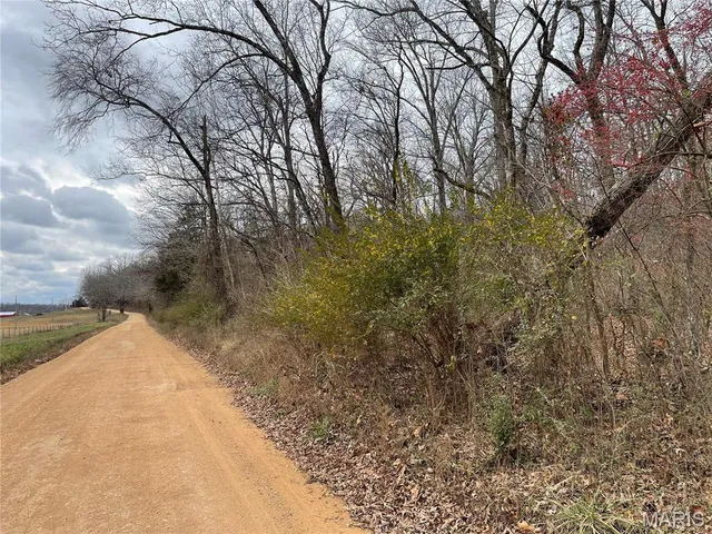 $160,000 | 0 County Road 160 E-4, Doniphan, MO 63935