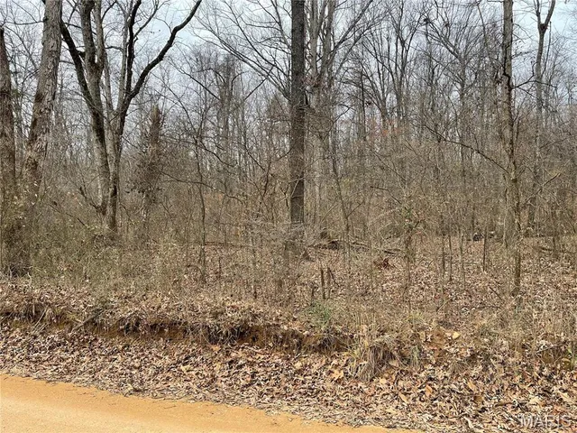 $160,000 | 0 County Road 160 E-4, Doniphan, MO 63935