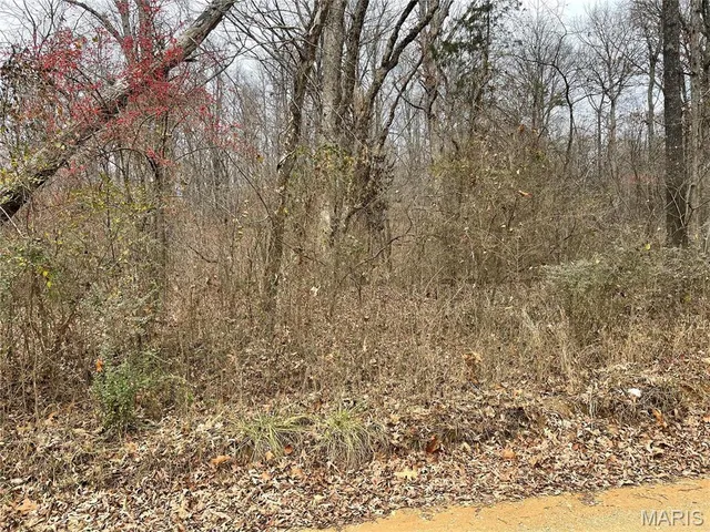 $160,000 | 0 County Road 160 E-4, Doniphan, MO 63935