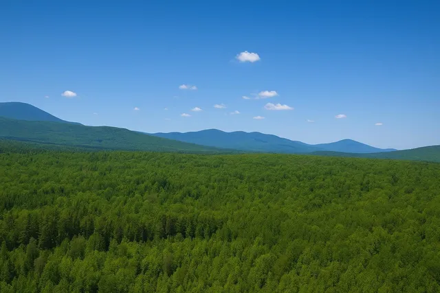 $215,000 | 0 Mud Pond Road, Dummer, NH 03588