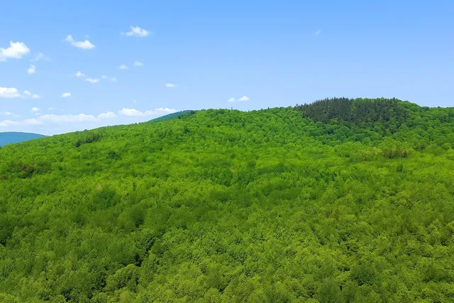 $215,000 | 0 Mud Pond Road, Dummer, NH 03588