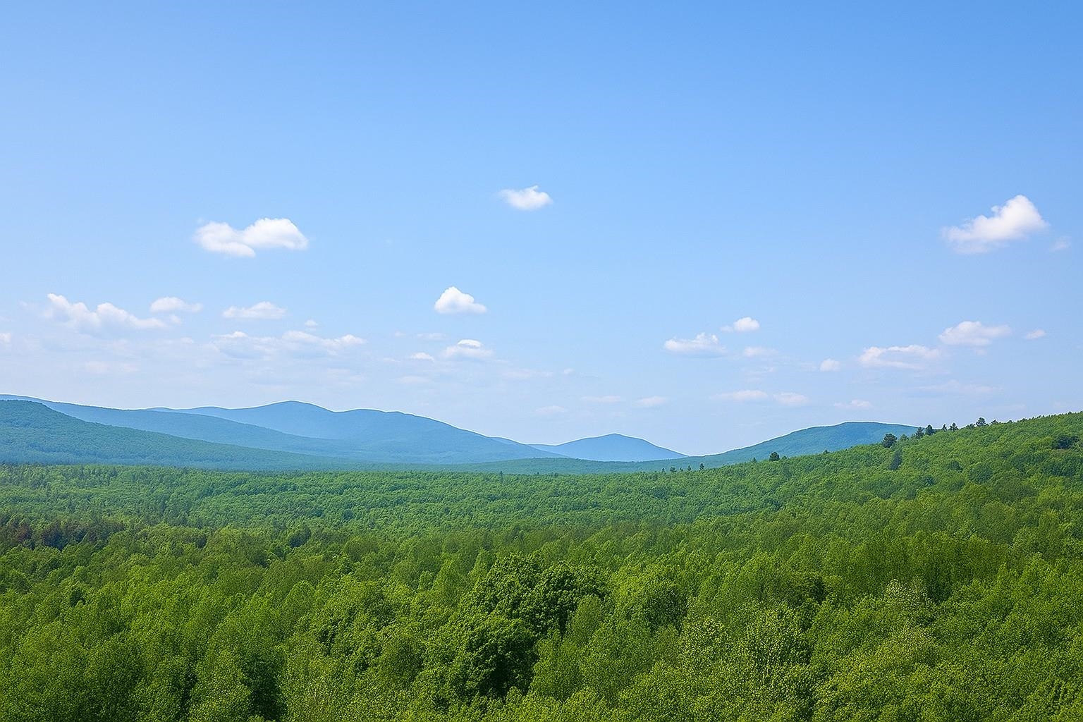 0 Mud Pond Road Dummer, NH 03588 - Photo 4 of 13