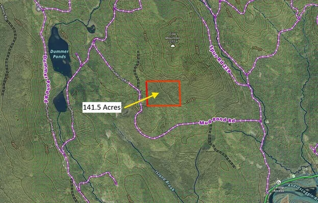 $215,000 | 0 Mud Pond Road, Dummer, NH 03588