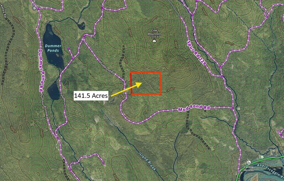 0 Mud Pond Road Dummer, NH 03588 - Photo 5 of 13