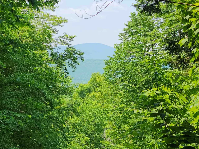 $215,000 | 0 Mud Pond Road, Dummer, NH 03588