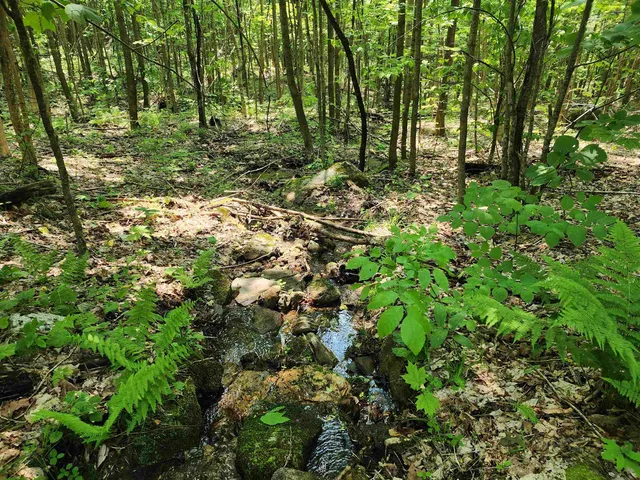 $215,000 | 0 Mud Pond Road, Dummer, NH 03588