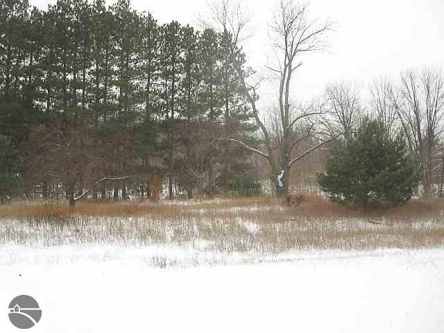 12936 South Cedar Road Cedar, MI 49621 - Photo 3 of 15 1699040-2.JPG
