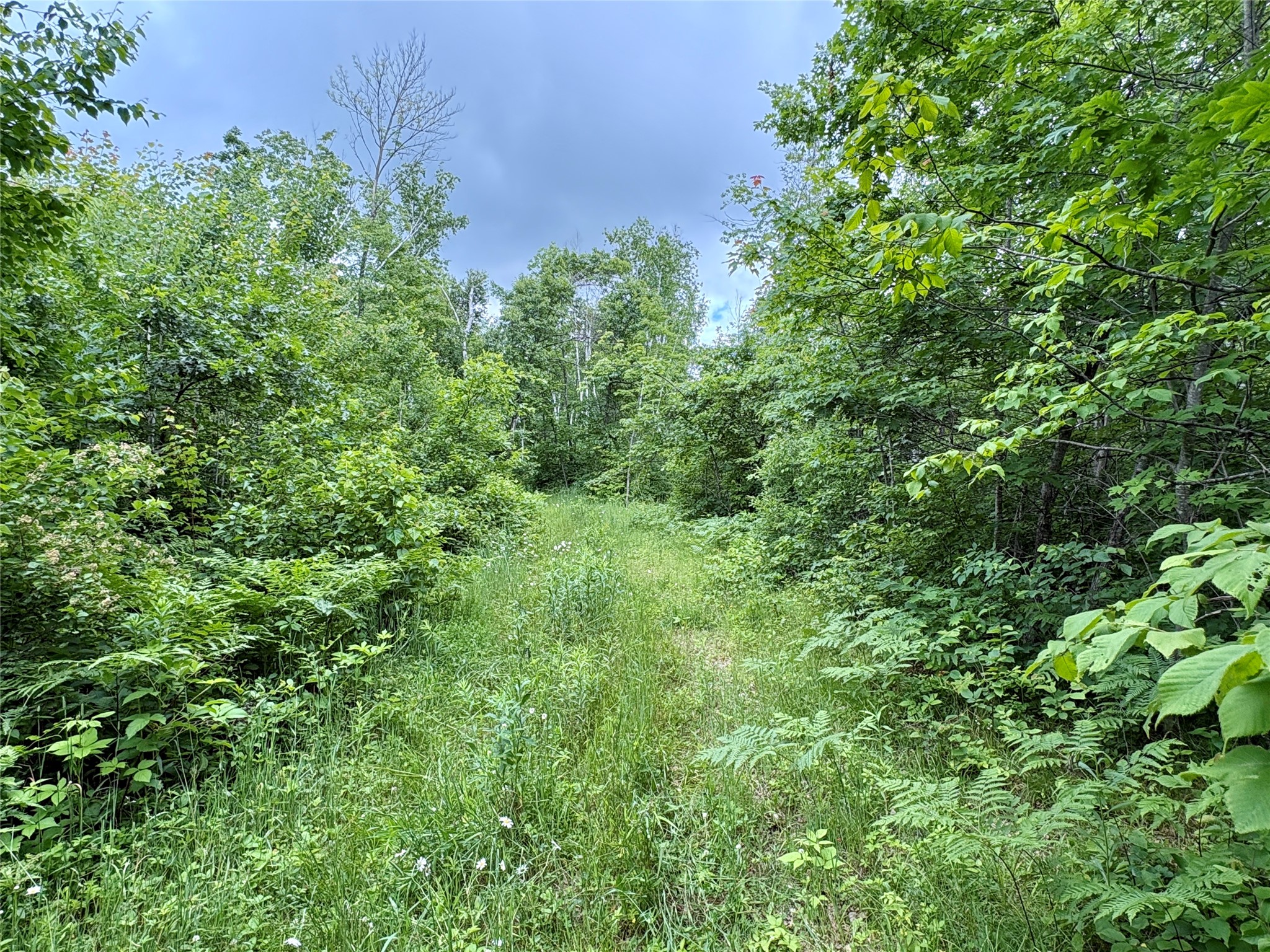 0 27th Street Cameron, WI 54822 - Photo 23 of 45