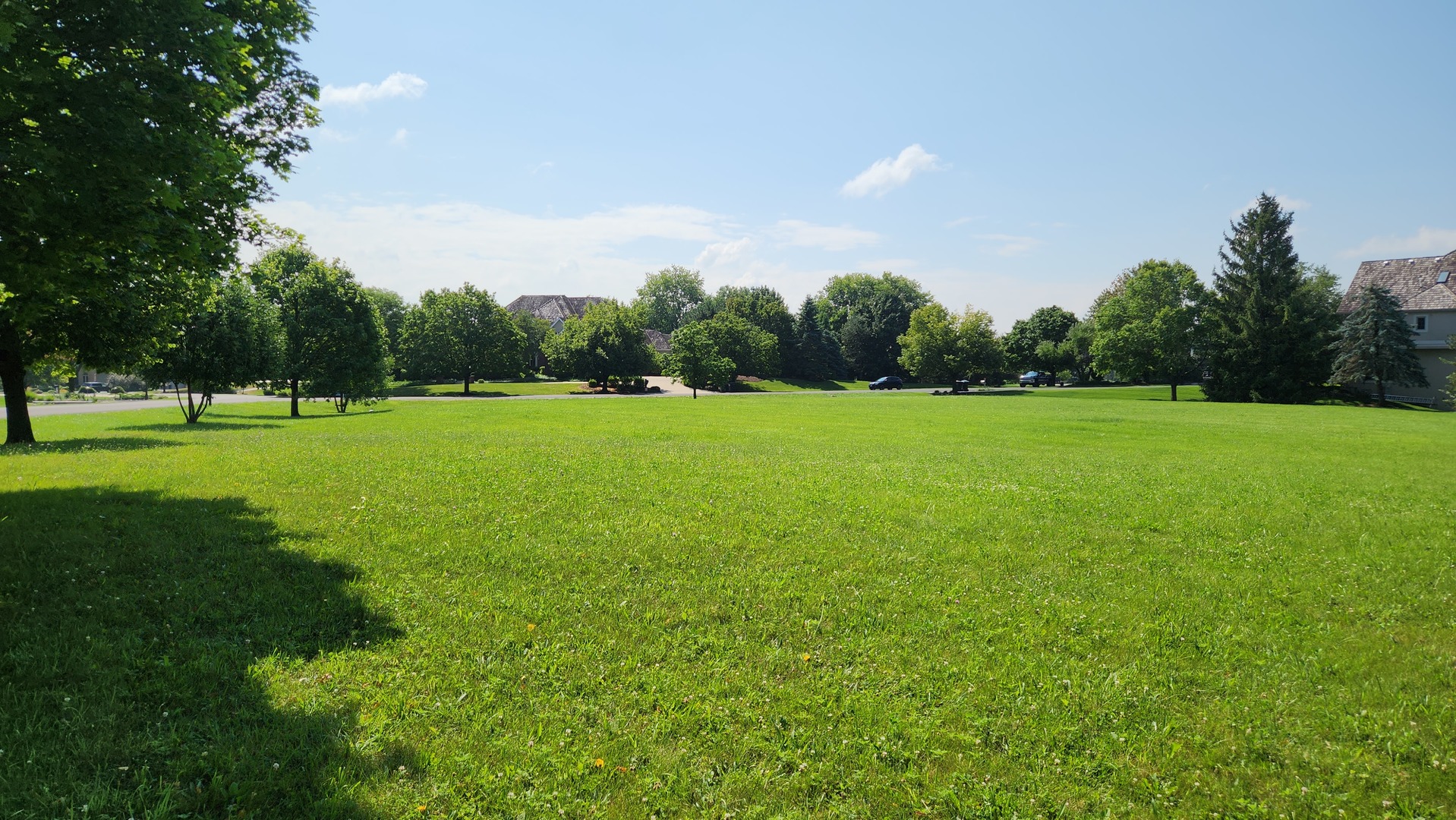 Lot 40 Lancaster Rd Street St. Charles, IL 60175 - Photo 7 of 11 a view of a big yard with a large trees