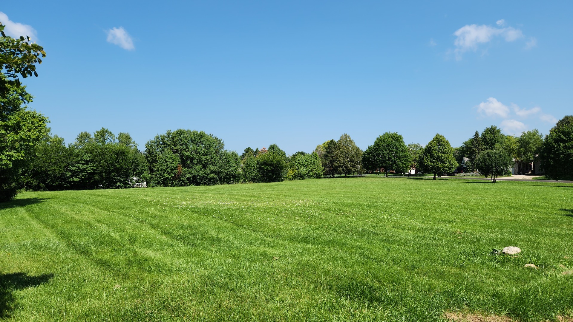 Lot 40 Lancaster Rd Street St. Charles, IL 60175 - Photo 9 of 11 a view of a field of grass and trees