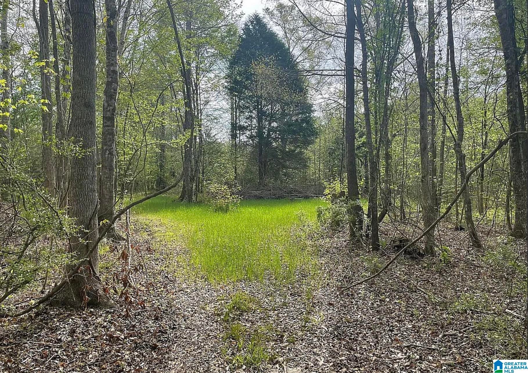 130 Honeycut Road Randolph, AL 36792 - Photo 16 of 49