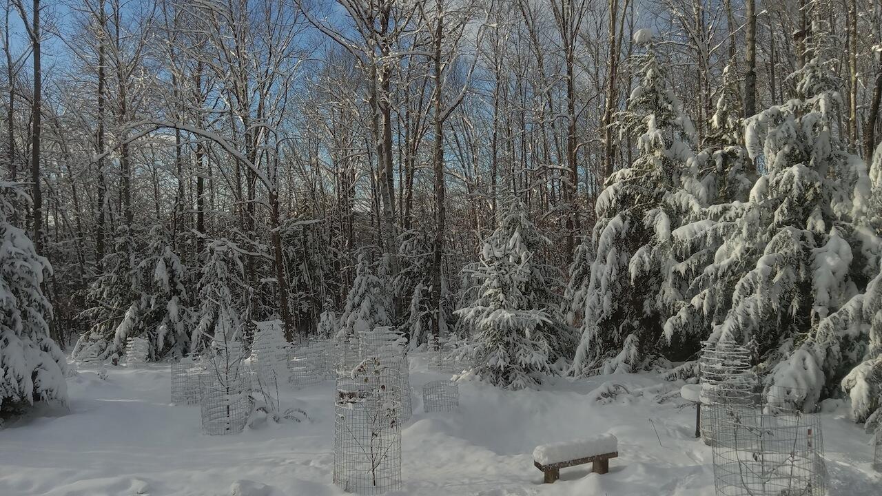 0 Pond View Drive Garland, ME 04939 - Photo 16 of 16 Fresh snow