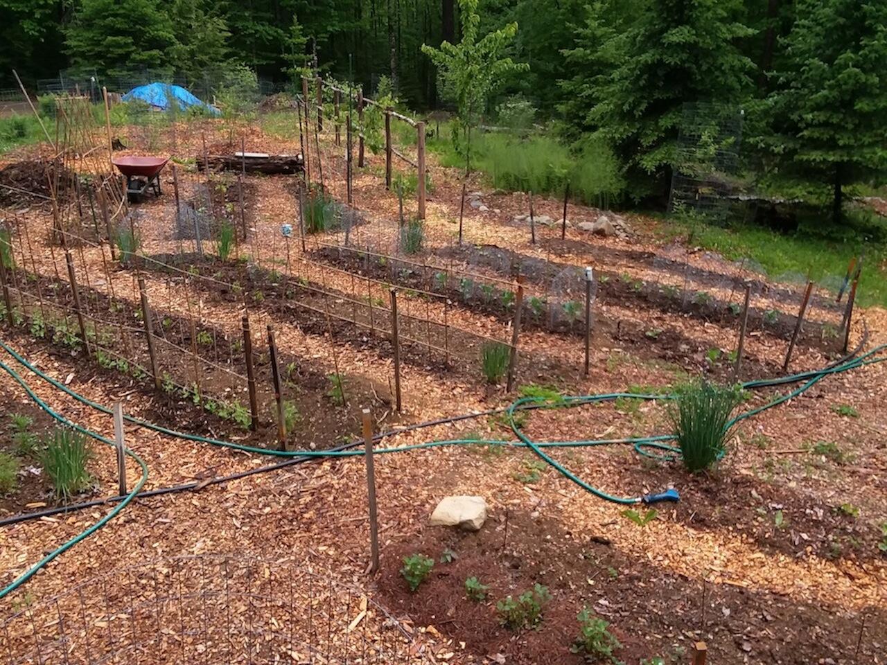 0 Pond View Drive Garland, ME 04939 - Photo 5 of 16 1000006807