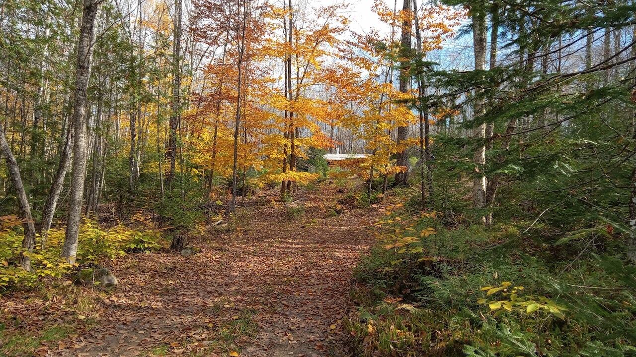 0 Pond View Drive Garland, ME 04939 - Photo 10 of 16 Driveway with house in Fall