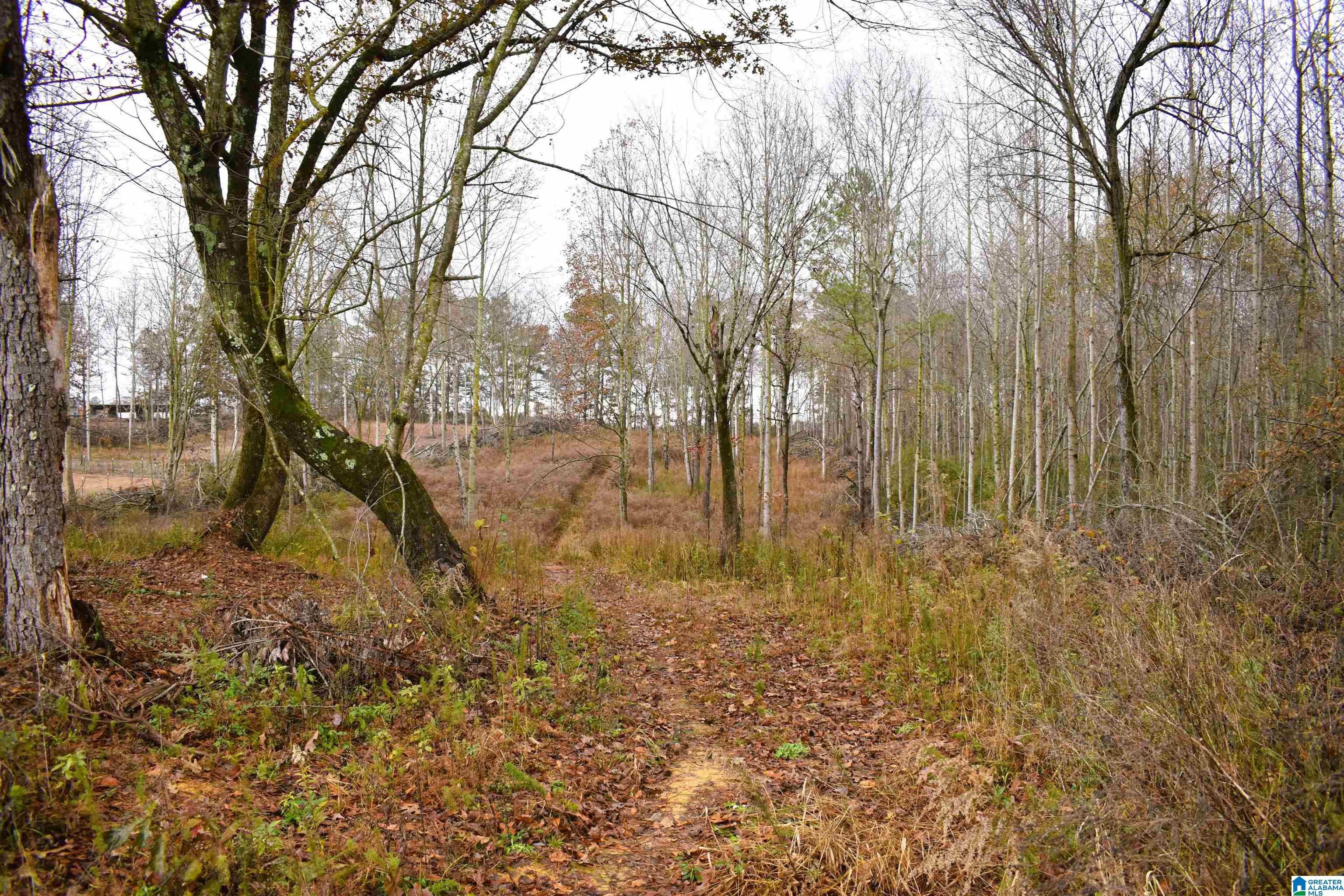 701 Cemetary Road Holly Pond, AL 35083 - Photo 24 of 31