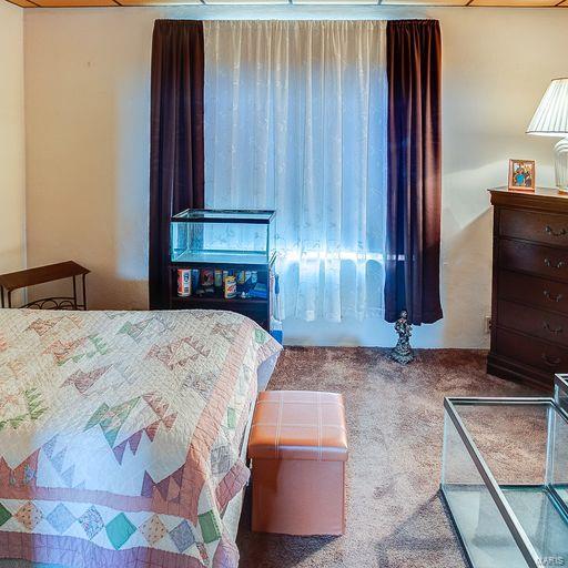 412 Lemay Ferry Road St. Louis, MO 63125 - Photo 17 of 29 Gallery Image 17