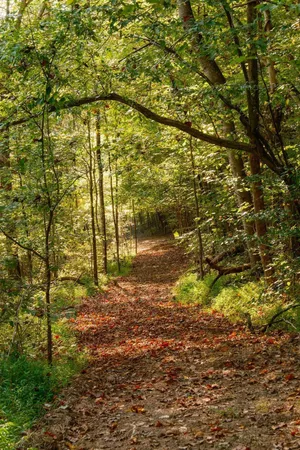 $3,995,000 | 3685 Martin Ervin Road, Santa Fe, TN 38482