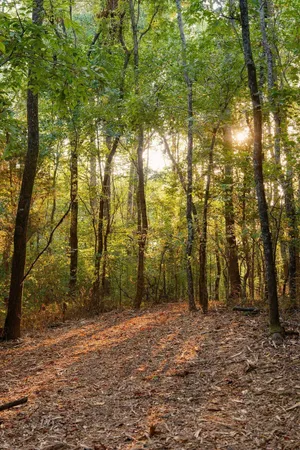 $3,995,000 | 3685 Martin Ervin Road, Santa Fe, TN 38482