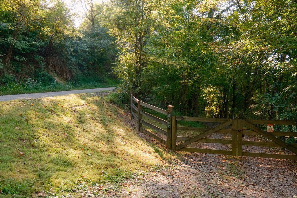 3685 Martin Ervin Road Santa Fe, TN 38482 - Photo 94 of 99 a view of a yard with wooden fence