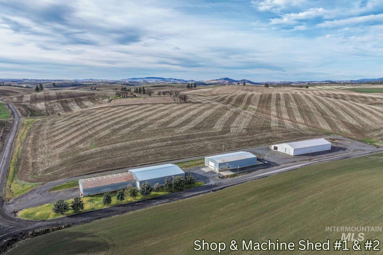1040 Driscoll Ridge Road Troy, ID 83871 - Photo 3 of 31 Gallery Image 3