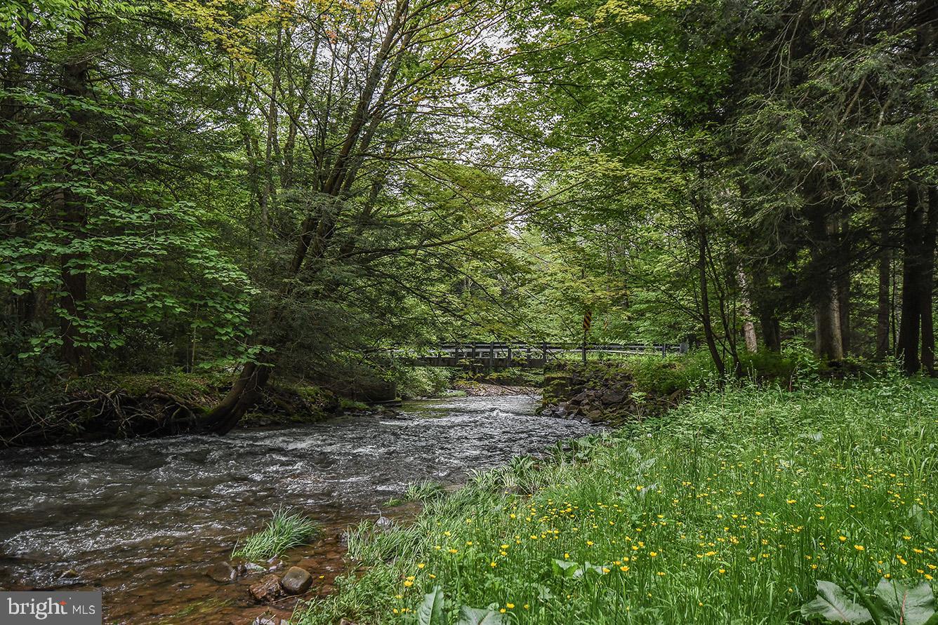 42 Arthur Devine Road Accident, MD 21520 - Photo 4 of 46 Bear Creek can be your backyard!