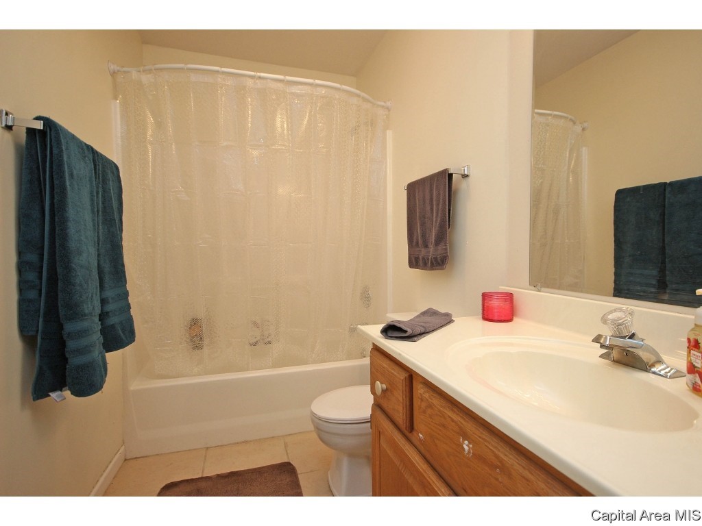 901 Diane Court Springfield, IL 62702 - Photo 17 of 31 Gallery Image 17