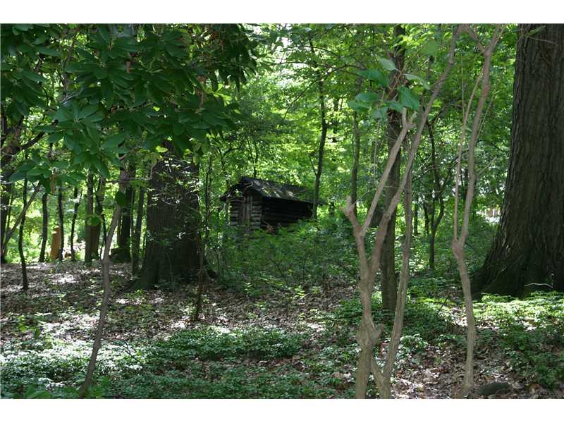 524 Sangree Road Pittsburgh, PA 15237 - Photo 14 of 18 Yard/Garden. Hidden treasures... in need of your tender loving care... could possibly bring usefullness or joy... once more!