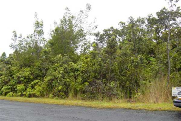 667 7th Street Volcano, HI 96785 - Photo 1 of 4 Gallery Image 1
