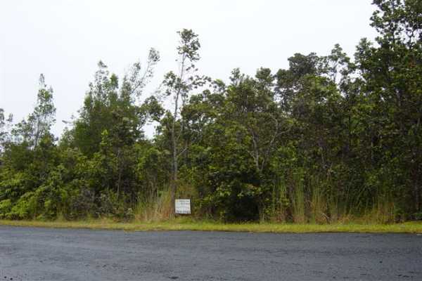 667 7th Street Volcano, HI 96785 - Photo 2 of 4 Gallery Image 2