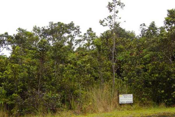 667 7th Street Volcano, HI 96785 - Photo 4 of 4 Gallery Image 4