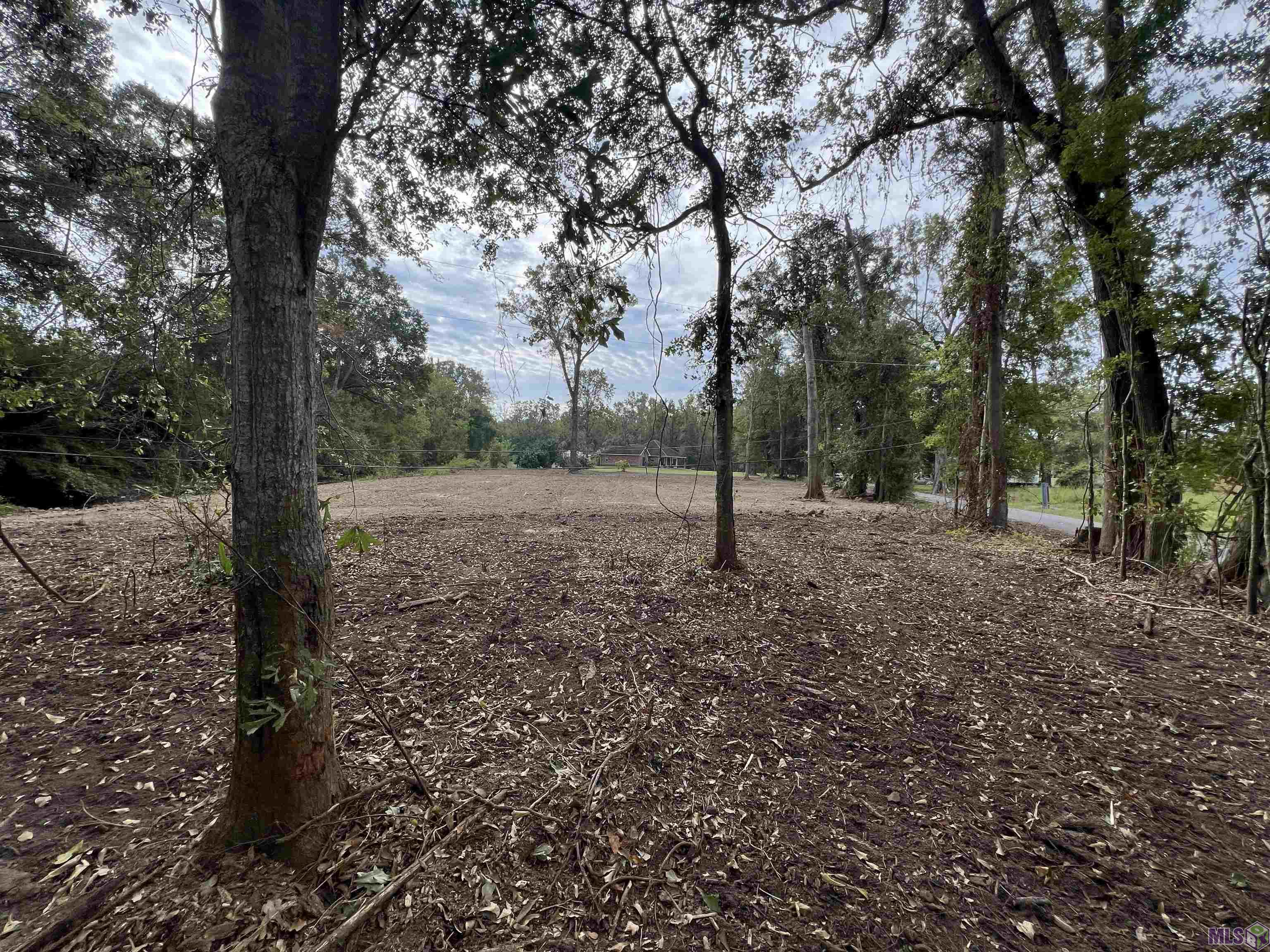 8402 Pertuis Road St. Amant, LA 70774 - Photo 13 of 13