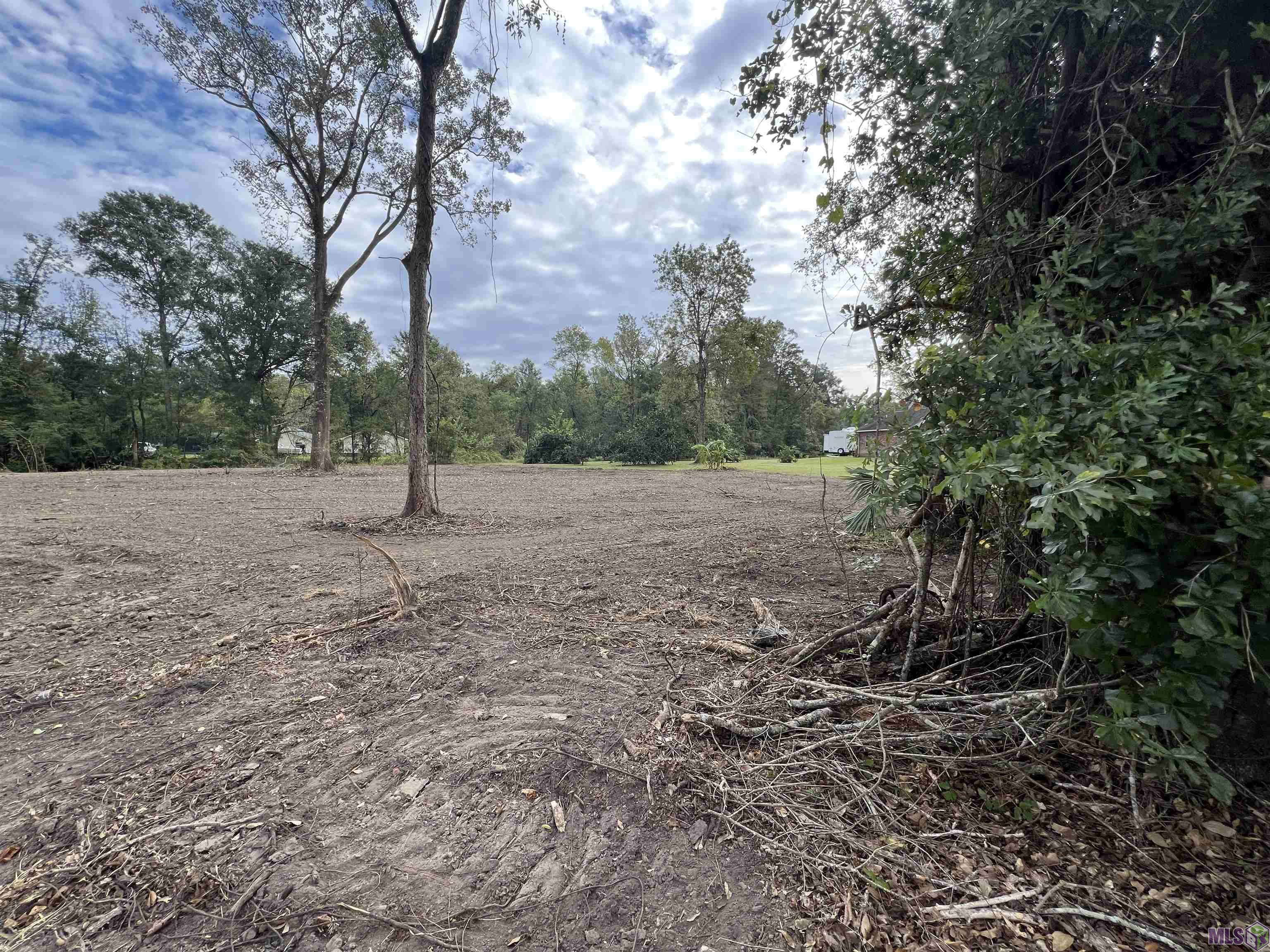 8402 Pertuis Road St. Amant, LA 70774 - Photo 4 of 13