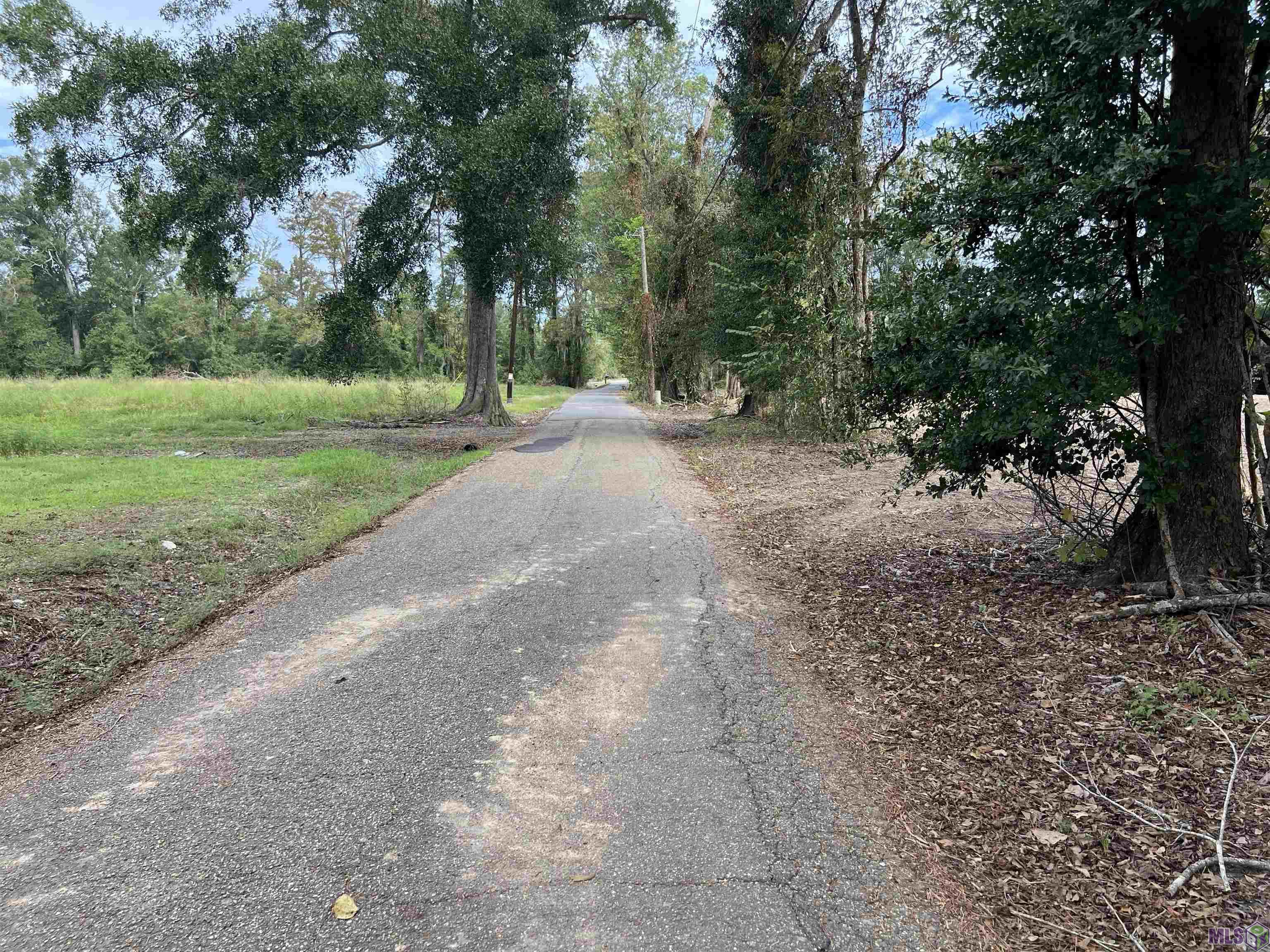 8402 Pertuis Road St. Amant, LA 70774 - Photo 6 of 13