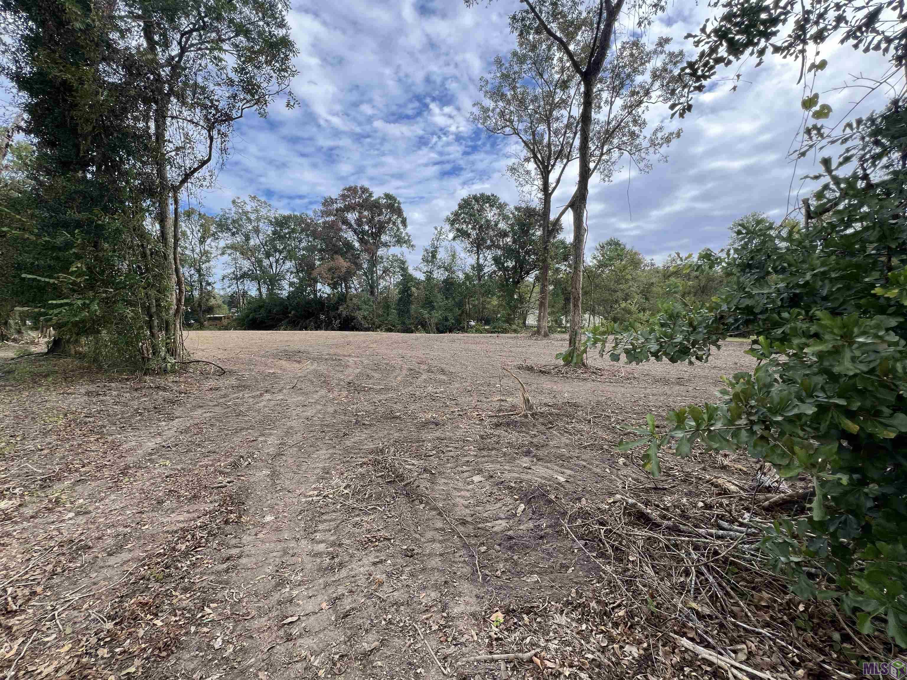 8402 Pertuis Road St. Amant, LA 70774 - Photo 9 of 13