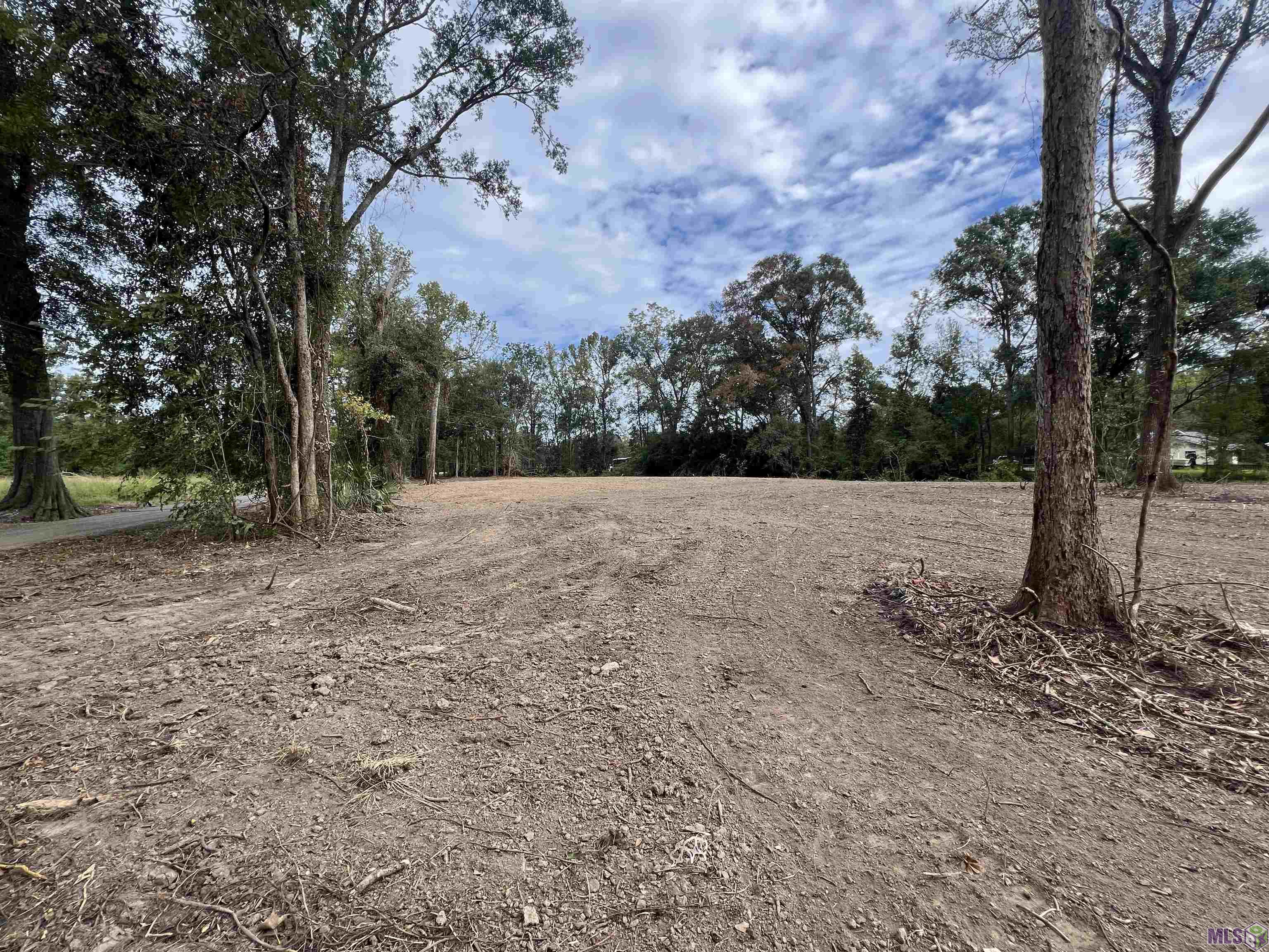 8402 Pertuis Road St. Amant, LA 70774 - Photo 10 of 13