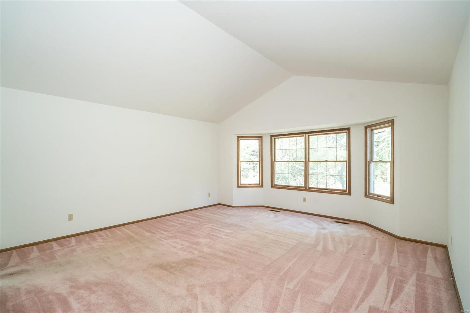 16255 Forest Meadows Drive Chesterfield, MO 63005 - Photo 19 of 35