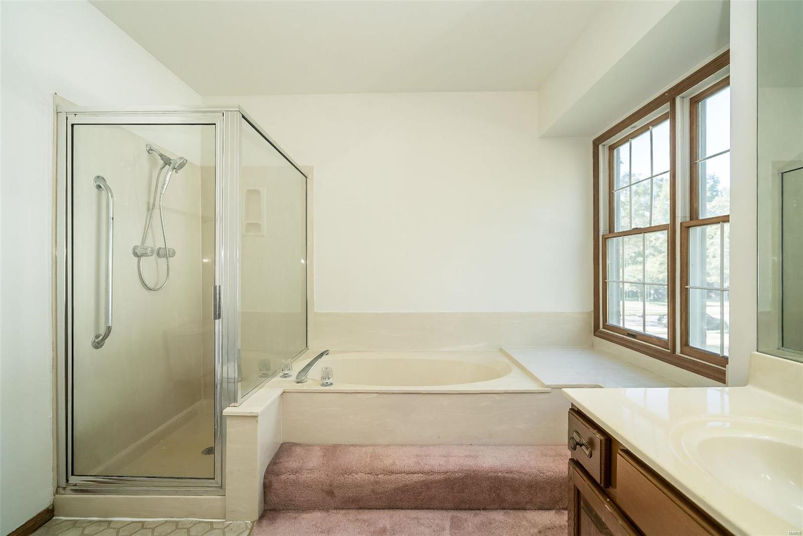 16255 Forest Meadows Drive Chesterfield, MO 63005 - Photo 21 of 35