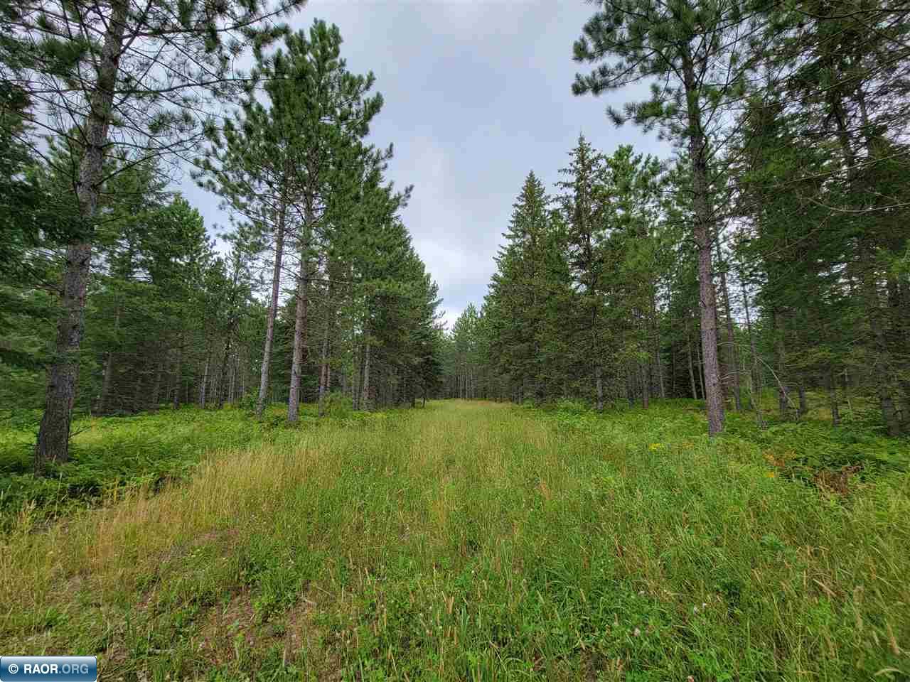 12109 E Road Side Lake, MN 55781 - Photo 13 of 14