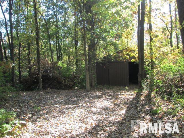 3910 South Autumn Drive Mapleton, IL 61547 - Photo 3 of 3