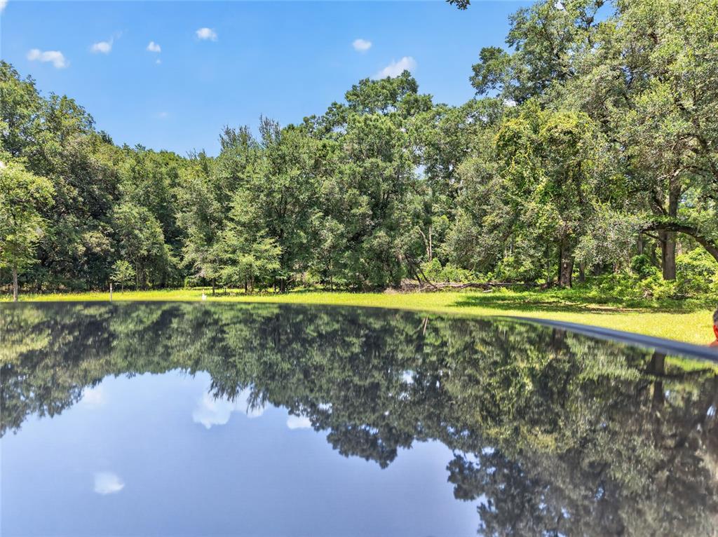 5725 Northwest 219th Street Road Micanopy, FL 32667 - Photo 17 of 17