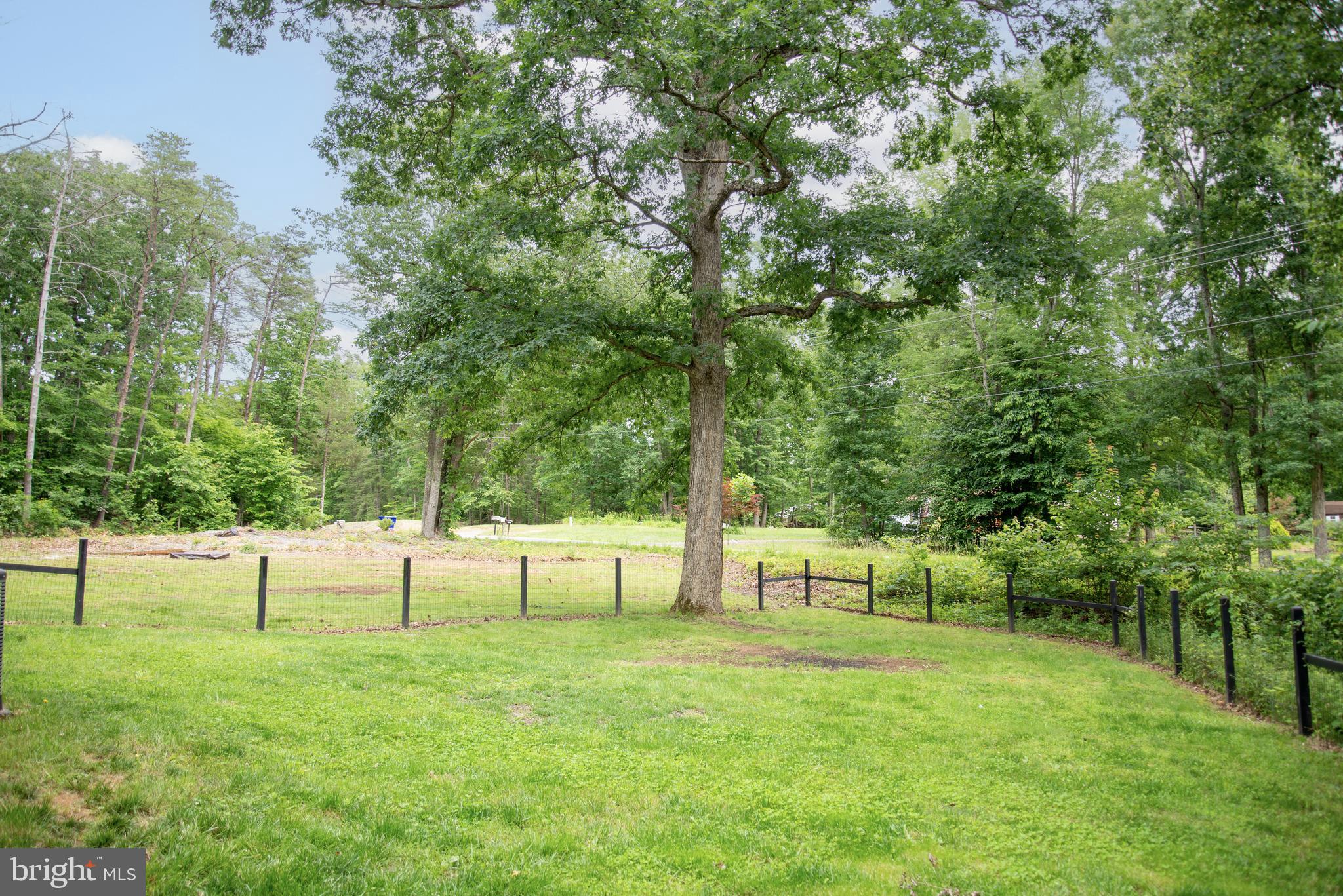 5588 Courtneys Corner Road Sumerduck, VA 22742 - Photo 22 of 22 a view of a park with a tree