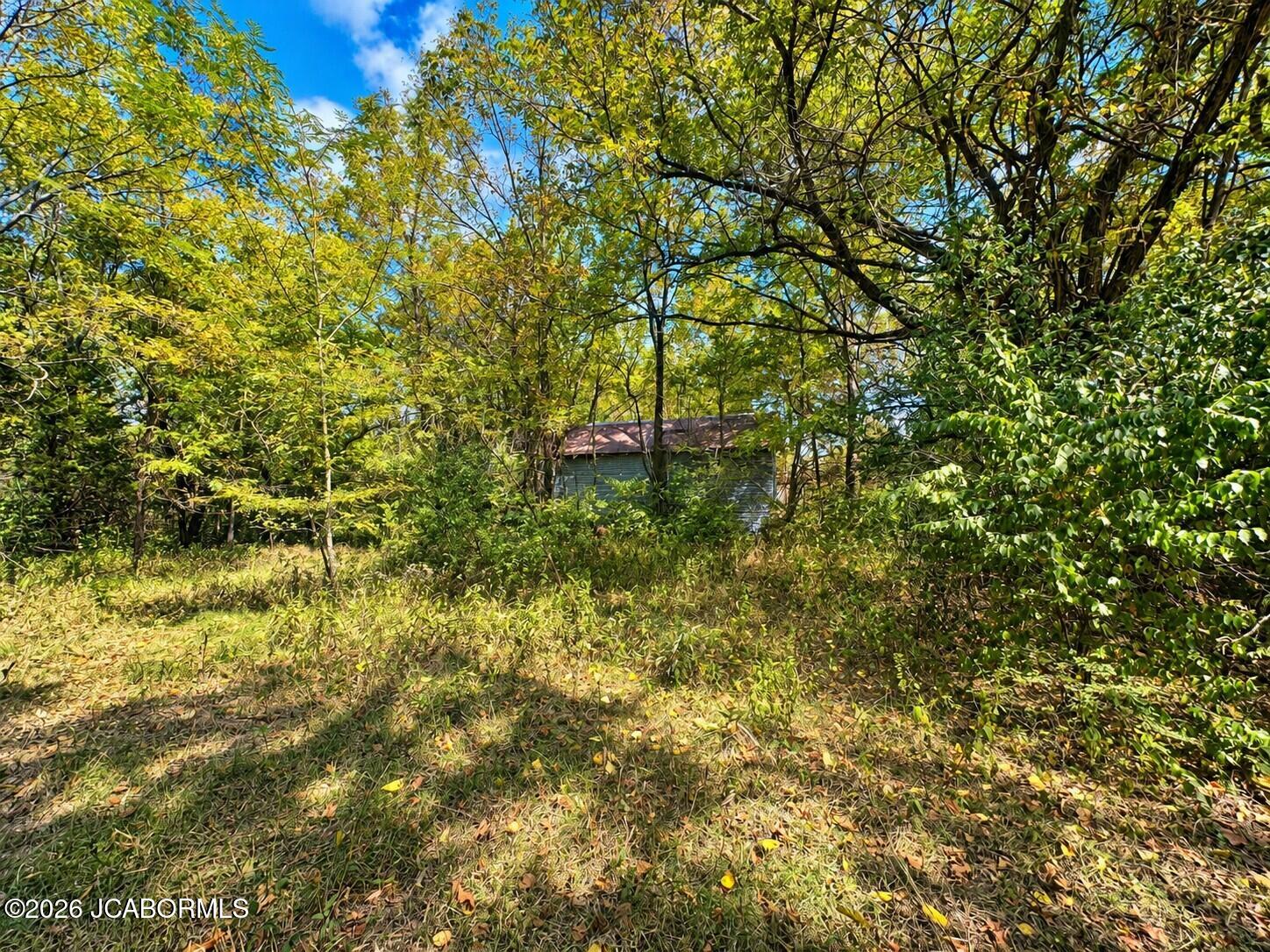 2 3.57 Ac County Road Holts Summit, MO 65043 - Photo 9 of 15 Gallery Image 9