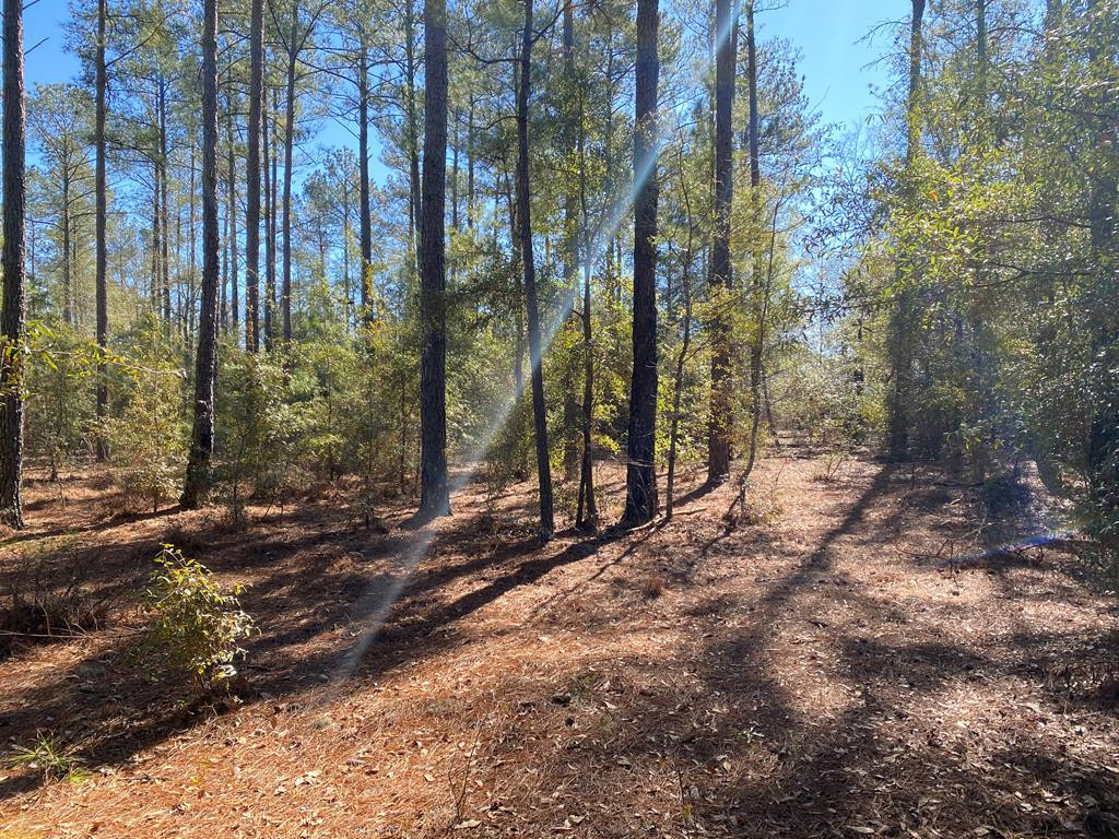 1634 Huttos Chapel Road Olar, SC 29843 - Photo 26 of 32