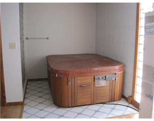 247 Donnell Road Lower Burrell, PA 15068 - Photo 14 of 14 Master Bath/Spa.