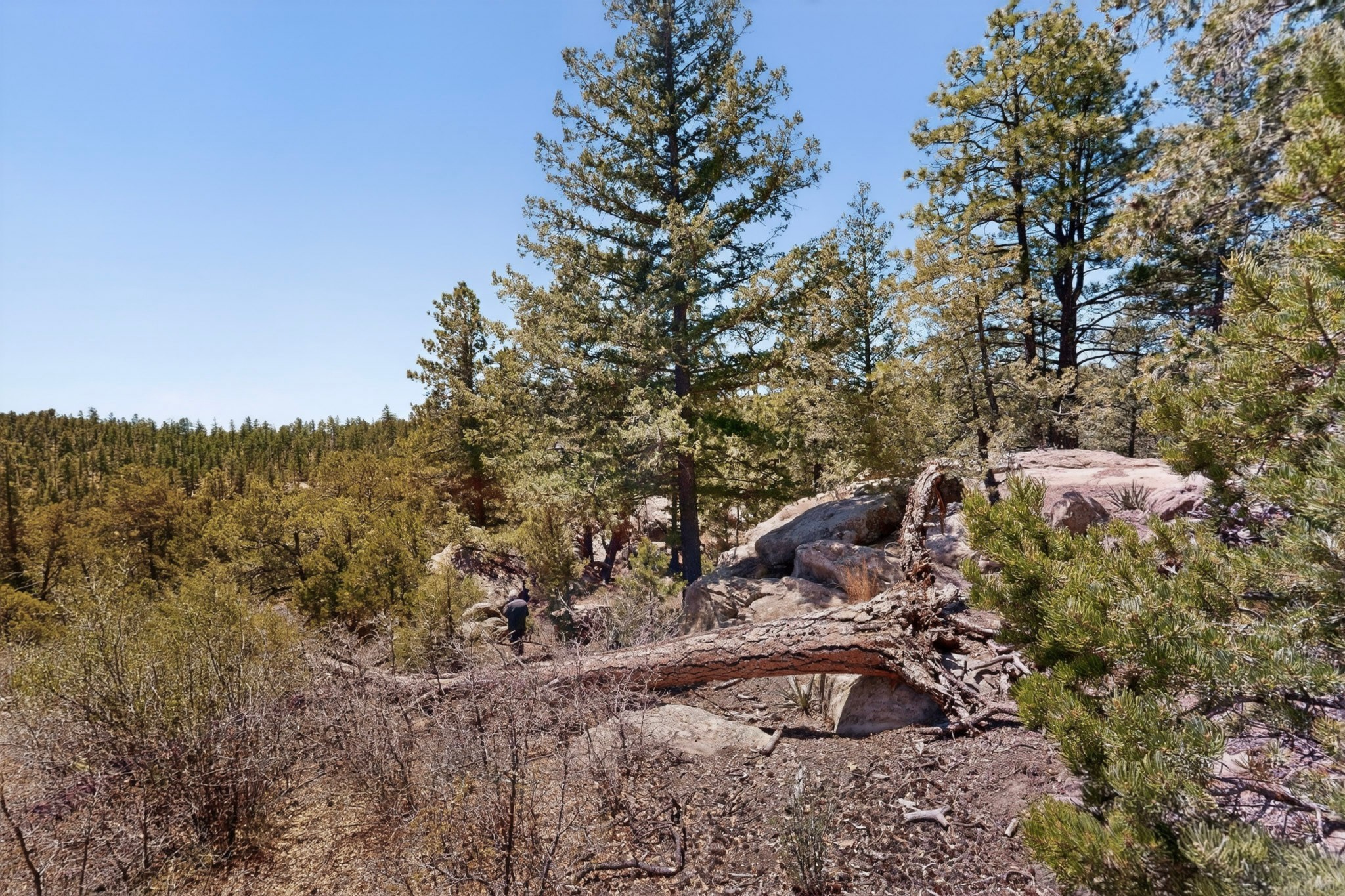 30 Monte La Cueva Road Glorieta, NM 87535 - Photo 35 of 91
