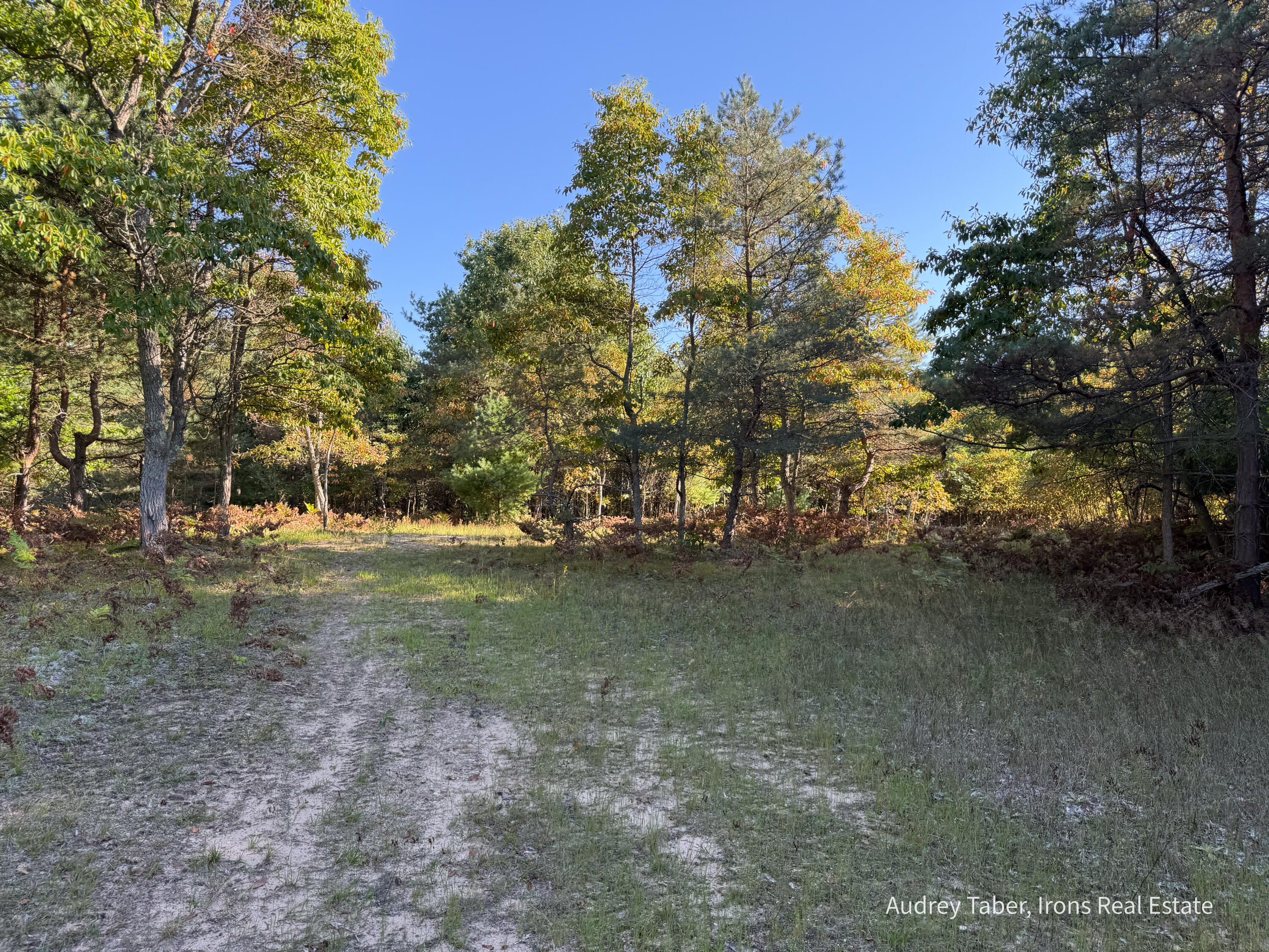 2 Clements Road Kaleva, MI 49645 - Photo 19 of 56 ClementsRd-62