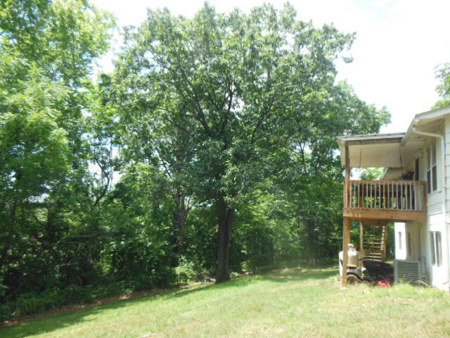 2402 Mt Pleasant Church Road Fincastle, VA 24090 - Photo 15 of 17 DSCN8033