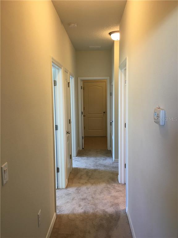 11046 Spring Point Circle Riverview, FL 33579 - Photo 14 of 25 Gallery Image 14