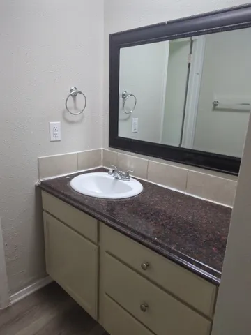 a bathroom with a sink and a mirror